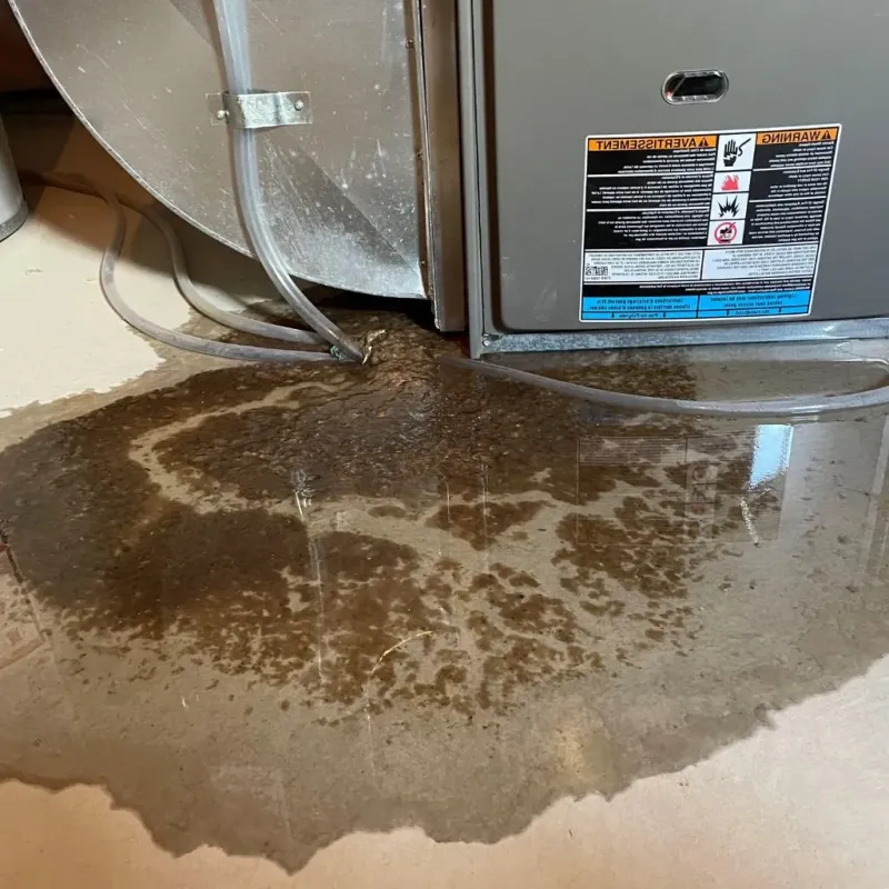 Pipe Burst and Leak Restoration in Pewee Valley, KY